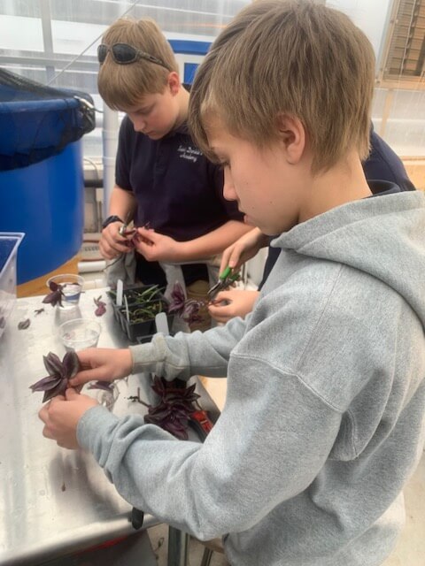 children in botany class examining plants